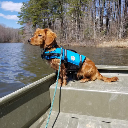 Ripstop Dog Life Vest, Reflective & Adjustable Life Jacket for Dogs with Rescue Handle for Swimming & Boating