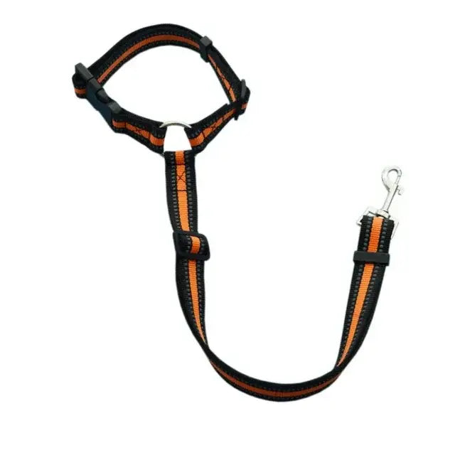 Pet Car Seat Belt & Harness Safety And Style