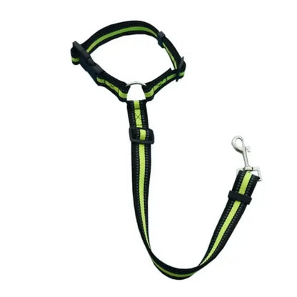 Pet Car Seat Belt & Harness Safety And Style